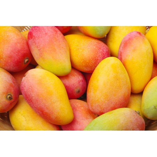 Jamaican East Indian Mango DillonGillon